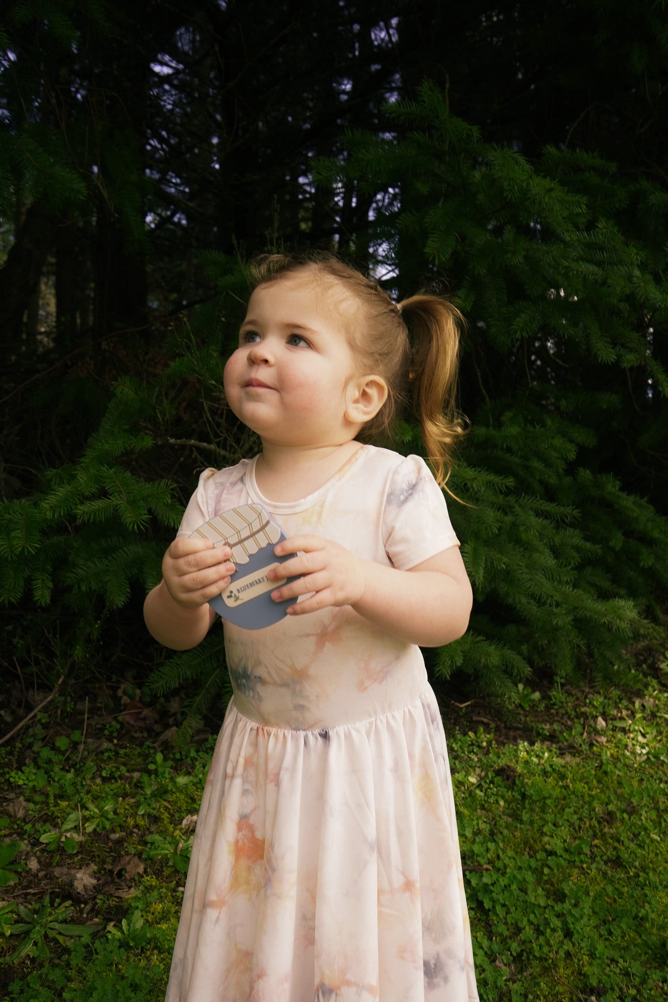 Blueberry Jam Teether