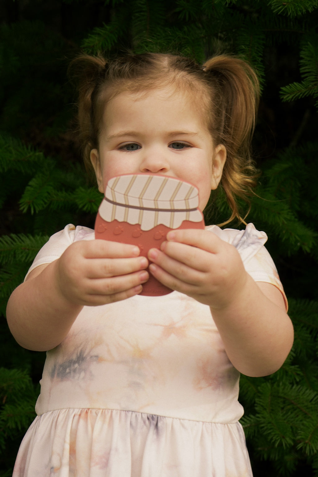 Strawberry Jam Teether