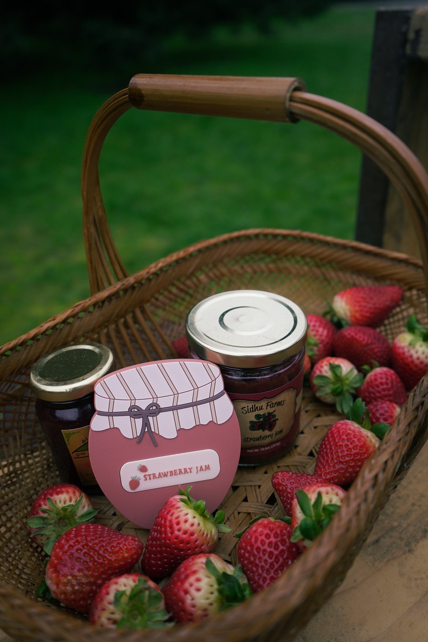 Strawberry Jam Teether